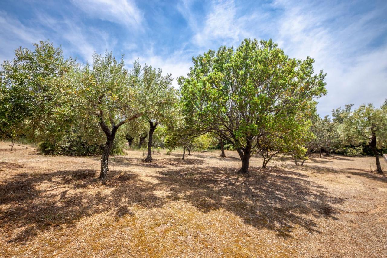 Hidden Gem Sithonia Metochi Agias Kiriakis Exterior foto