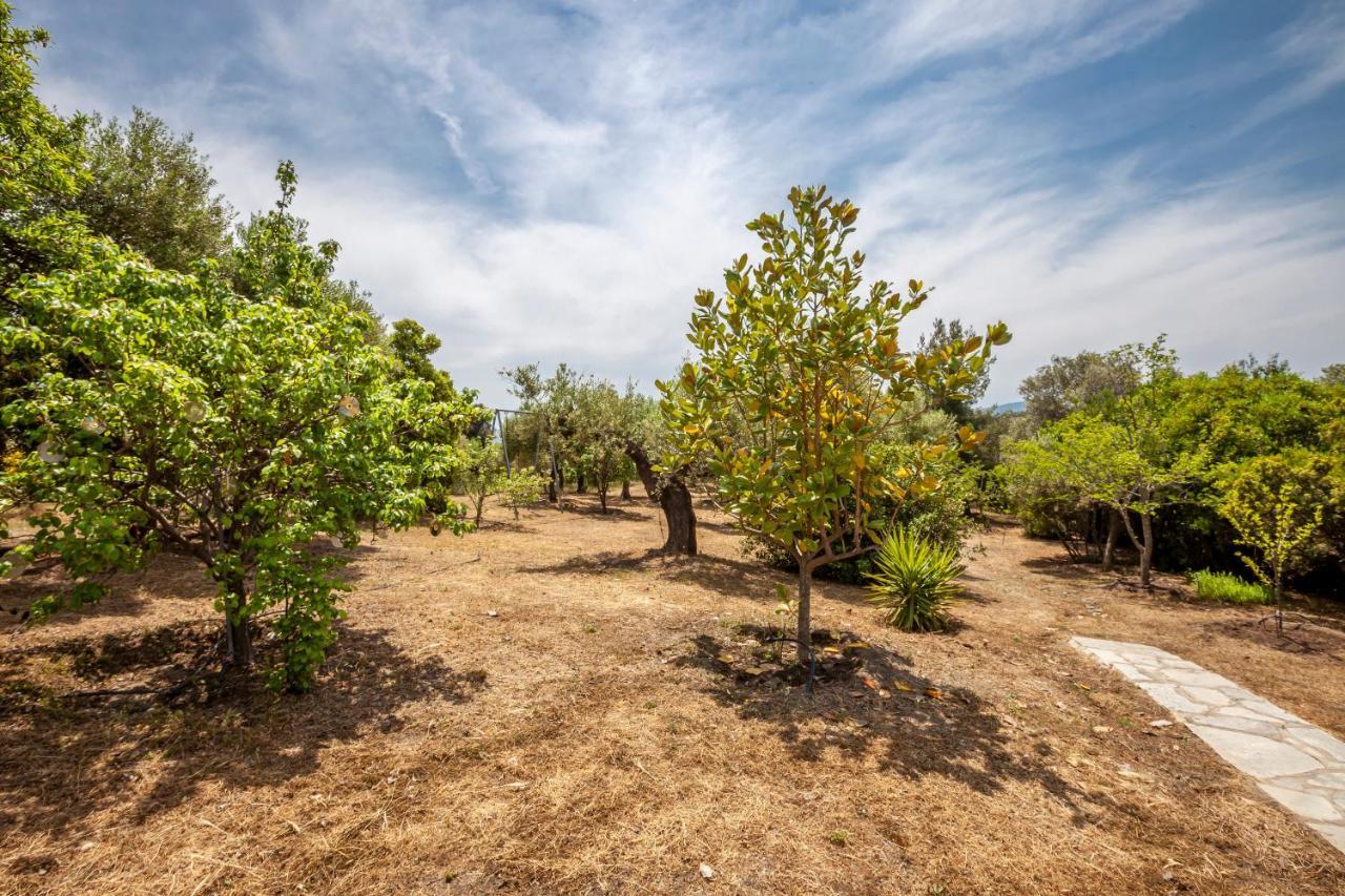 Hidden Gem Sithonia Metochi Agias Kiriakis Exterior foto